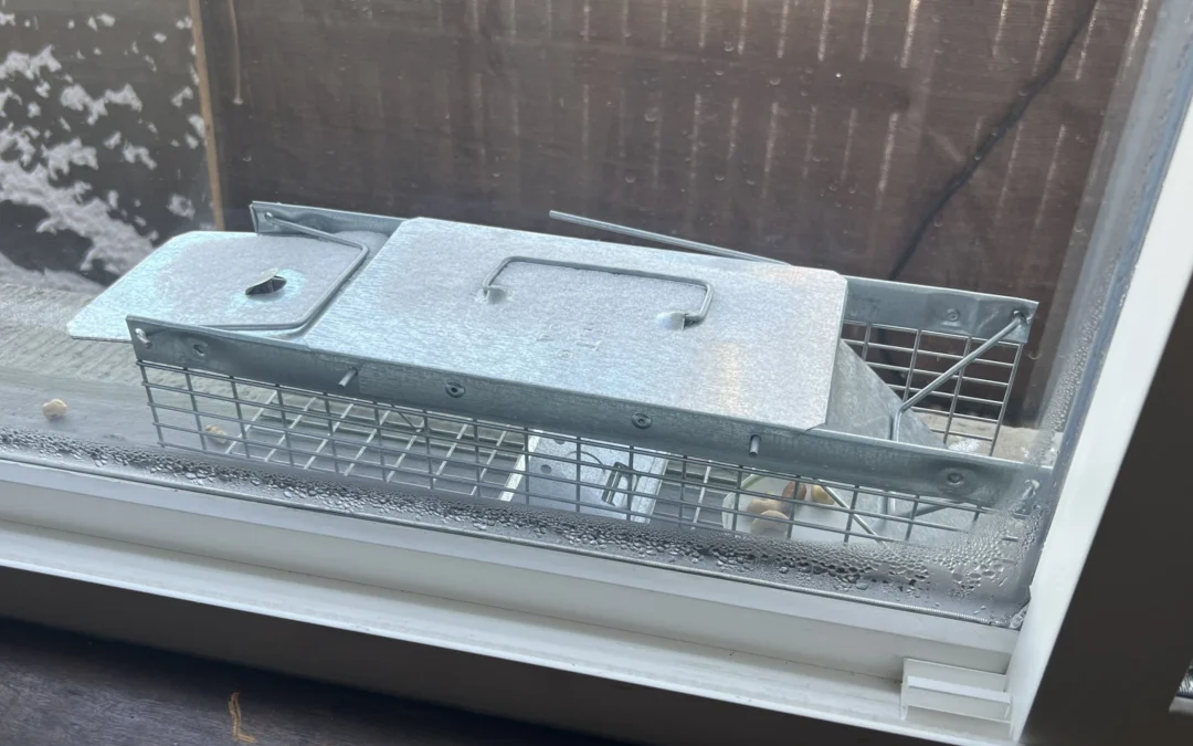 About pests. Landlords vs Mice, Squirrels, Alligators, and more.