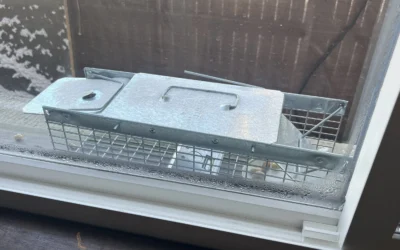 About pests. Landlords vs Mice, Squirrels, Alligators, and more.